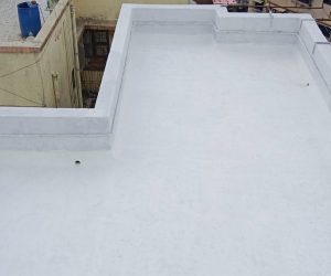 WhatsApp Image 2026-05-05 at 11.15.01 AM